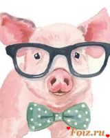 id214567, 38 из г. Донецк 