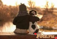 id214569, 40 из г. Киев