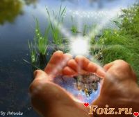 id215228, 53 из г. Киев