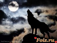 Krol26-id217846, 33 из г. Киев