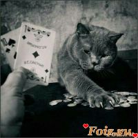 Перовский-id219108, 43 из г. Москва