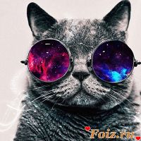 Vlad99-id220443, 29 из г. Запорожье