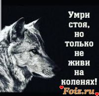 id220445, 38 из г. Киев