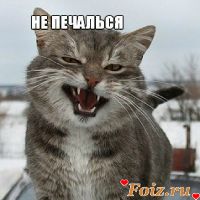 id221391, 35 из г. Киев
