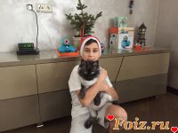 id224397, 19 из г. Киев