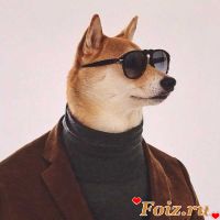 id226972, 36 из г. Бровары