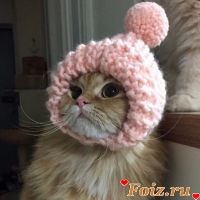 id228620, 27 из г. Сургут 