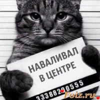 id230300, 43 из г. Ставрополь