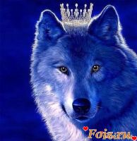 Vovcik-id230585, 36 из г. Днепр