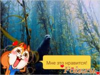 неприступный, 45 из г. Запорожье