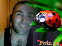 id232600, 48 из г. Женева