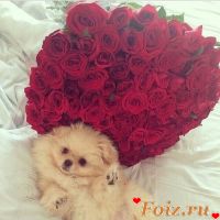 id233928, 31 из г. Запорожье