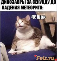 WoodyPecker-id234780, 33 из г. Харьков