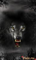 Olligator-id236349, 35 из г. Донецк 