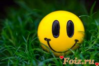 id237653, 48 из г. Киев