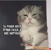 id238327, 74 из г. Киев