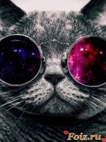 -Nikolas--id241980, 49 из г. Донецк 