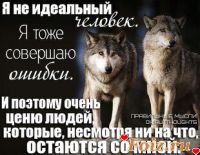 id243386, 38 из г. Бровары