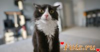 id243598, 40 из г. Одесса