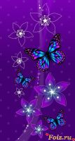 natali22-id244322, 27 из г. Донецк 