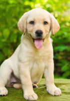 id245021, 19 из г. Киев