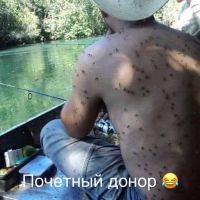 id246225, 31 из г. Краснодар