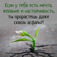 Аля1103, 41 из г. Белая Церковь