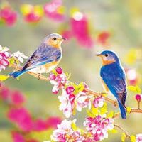 id250302, 43 из г. Москва