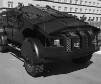 abbatiae, 19 из г. Благовещенск Амурская обл