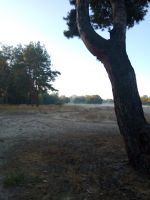 id253511, 56 из г. Киев