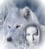 id254695, 35 из г. Харьков