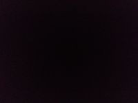 id255275, 31 из г. Днепр