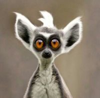 Саняба_бомж-id255392, 49 из г. Днепр