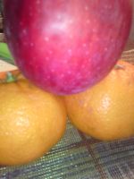 id259132, 43 из г. Запорожье