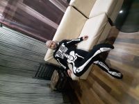 id260043, 33 из г. Киев