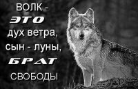 id261990, 36 из г. Минск