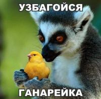 id262584, 40 из г. Минск