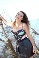 id264624, 33 из г. Москва