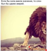 Vagabunddd, 32 из г. Минск