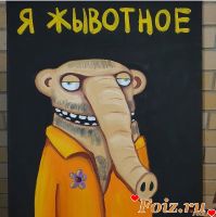 ЧБК, 43 из г. Москва