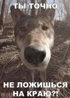 id270142, 20 из г. Киев