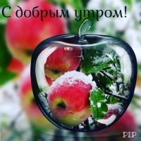 id270158, 51 из г. Полтава