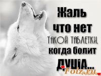 VOENNAYA, 43 из г. Донецк 