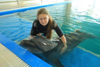 id273313, 39 из г. Москва