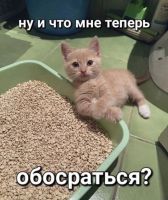 -Критик-, 74 из г. Архангельск