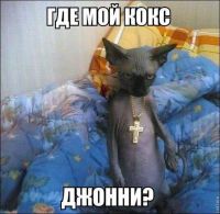 id274678, 46 из г. Одесса