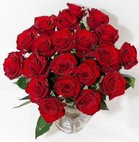 Максим101-id275751, 34 из г. Киев