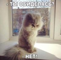 id275992, 25 из г. Днепр