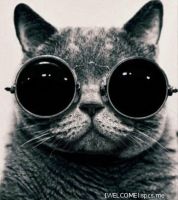 [Jony], 36 из г. Москва