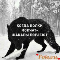 id278343, 39 из г. Москва